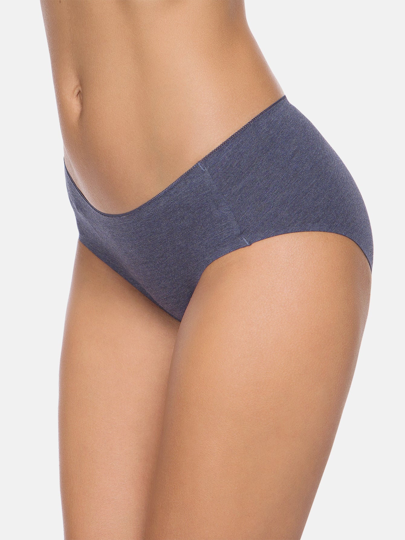 Womens Cotton Underwear for Women Seamless Hipster Bikini Briefs Panties 6-Pack 3028