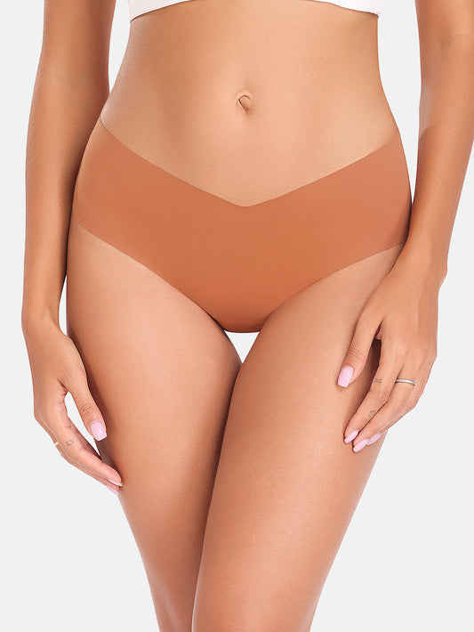 Womens Underwear Bikini Silky Seamless Underwear 6-PACK 833